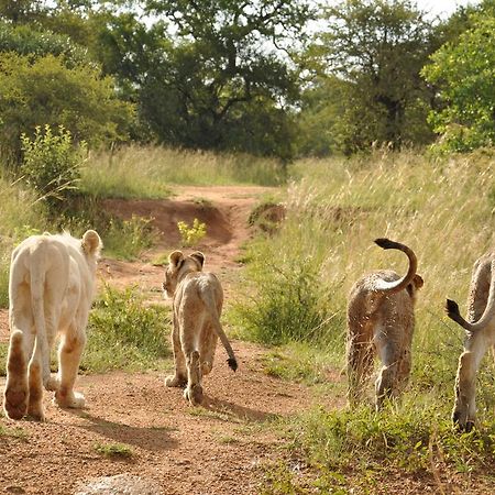 Ukutula Lion Lodge Beestekraal  Luaran gambar